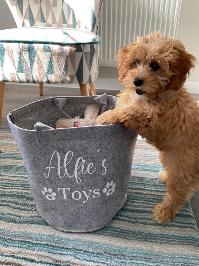 Pet Toy Basket