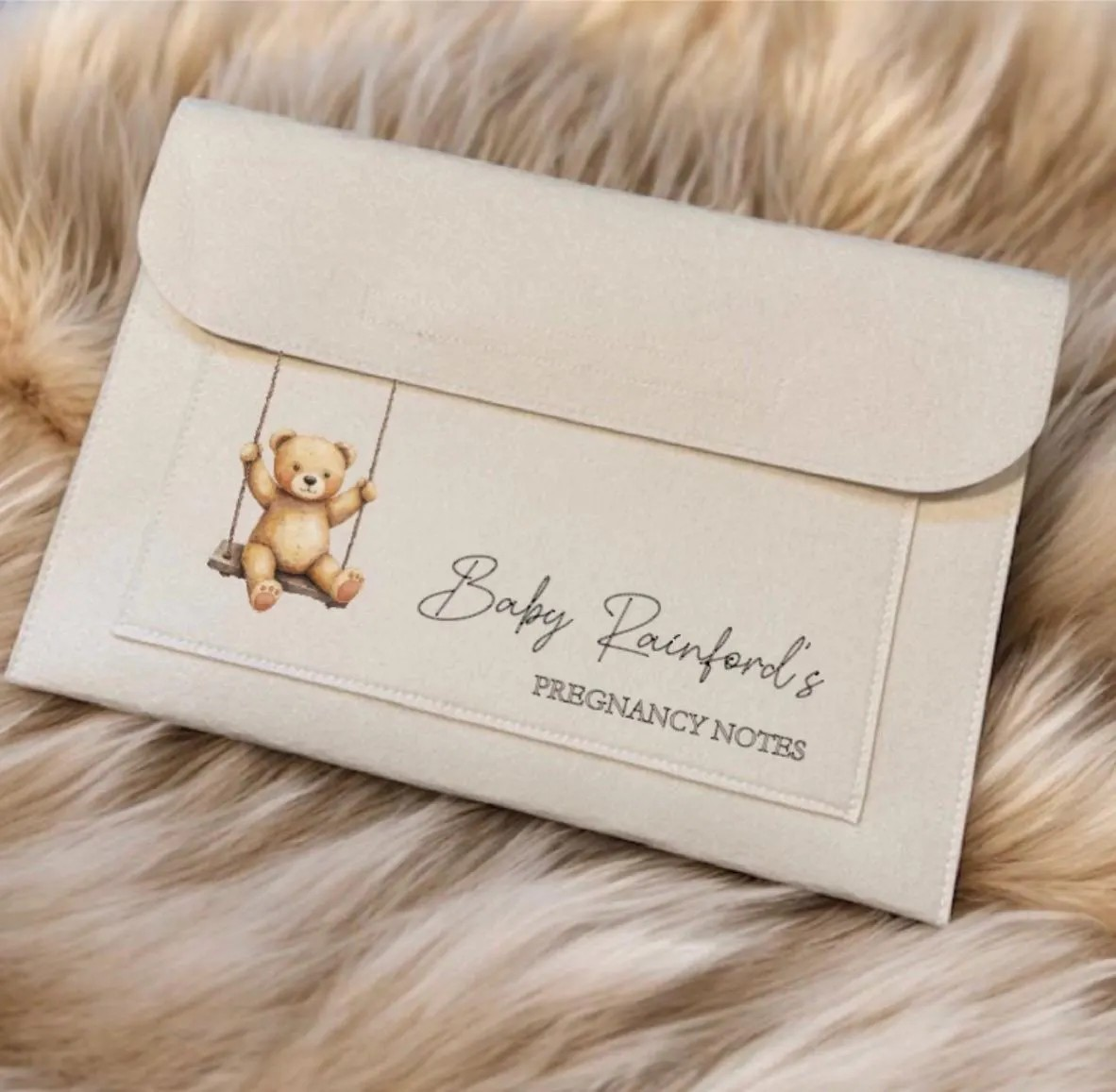 Pregnancy Notes Document Folder