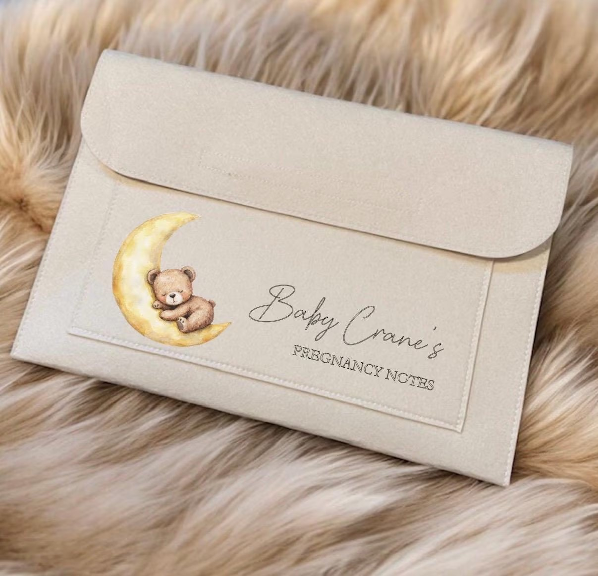 Pregnancy Notes Document Folder