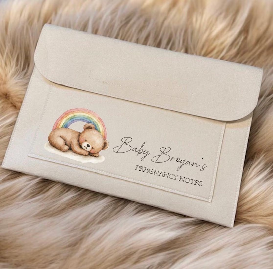 Pregnancy Notes Document Folder